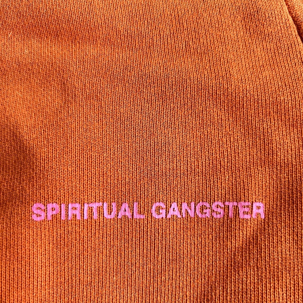 Orange spiritual gangster crop sweatshirt